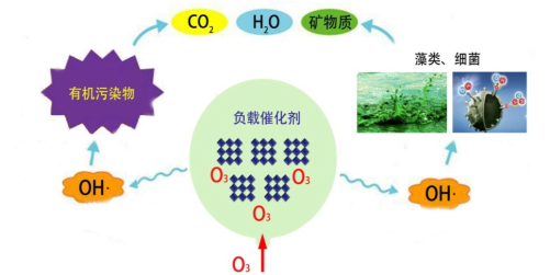 1477376860454903iNXf.png 1477376860454903iNXf.png